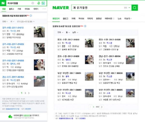 네이버, 검색으로 실종동물 찾아준다.