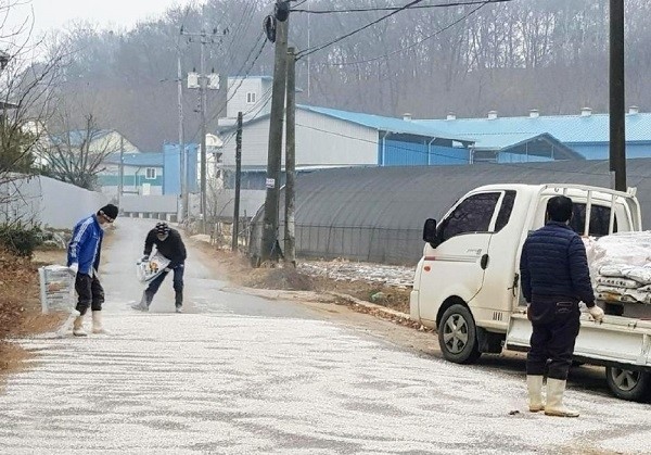 전남 고흥 육용오리 농장서 H5형 AI 항원 검출. (사진제공=뉴시스)