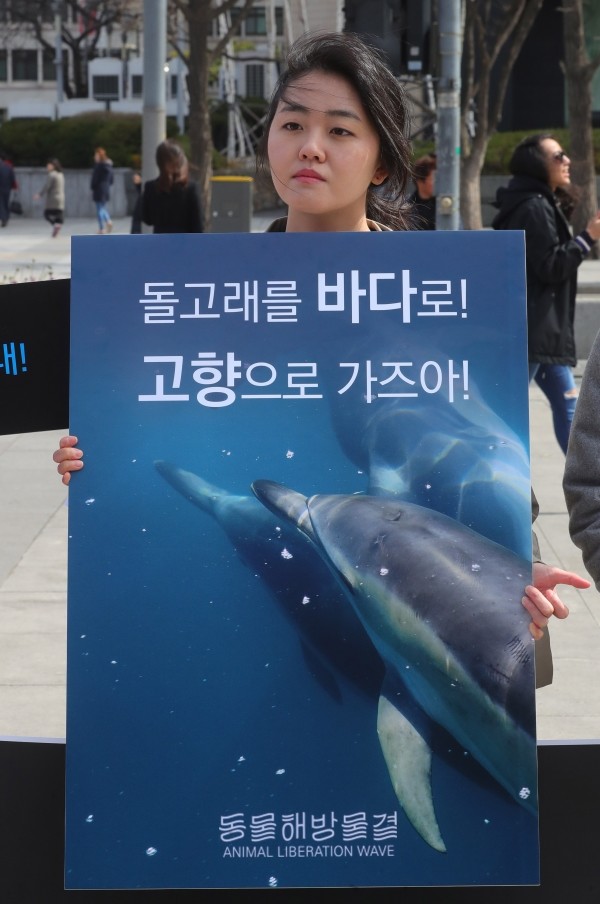20일 오후 서울 종로구 광화문 광장에서 동물자유연대 등 동물보호단체 한 회원이 서병수 부산시장 '돌고래 수족관 찬성' 발언 규탄 기자회견을 열고 동부산관광단지 돌고래 수족관 설립 계획 철회를 촉구하고 있다.(사진newsis)