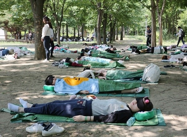 지난해 열린 유한킴벌리 숲 속 꿀잠경연대회 참가자들이 서울숲에서 잠을 청하고 있다. (사진제공=유한킴벌리)