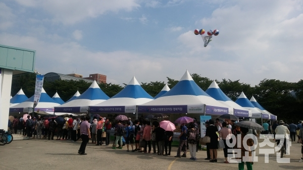 ▲ 제5회 대구도시농업박람회가 시지동 대구농업마이스터고 일대에서 10일까지 열리고 있다. 행사에 참석한 많은 시민들은 배추모종 나눔 이벤트와 도시농업체험 등을 위해 줄을 서서 기다리고 있다.