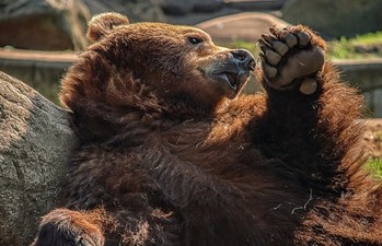 thumbimg