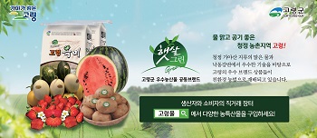 고령군청(고령몰)