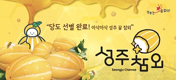 성주군청